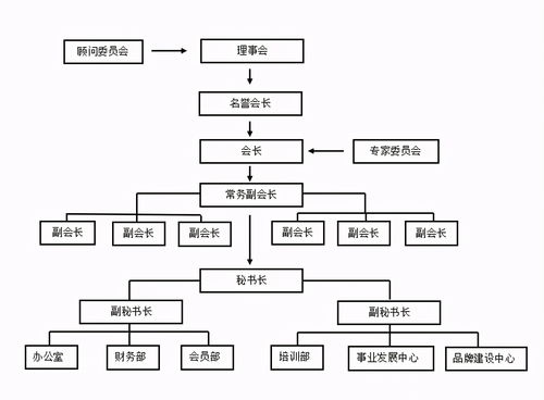 嗶哩嗶哩專欄