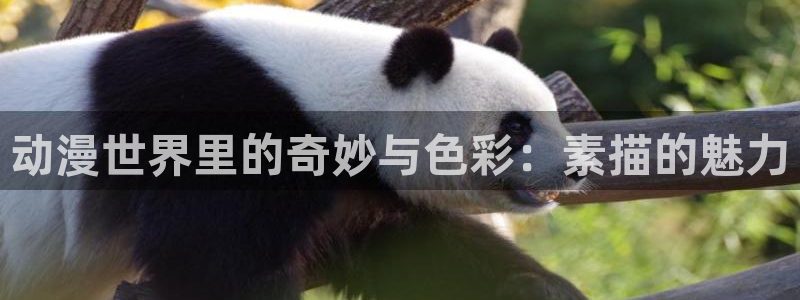 火狼动漫官网入口：动漫世界里的奇妙与色彩：素描的魅力