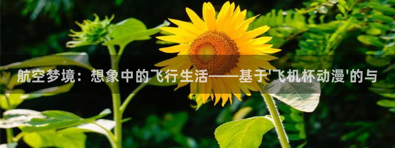 火狼动漫官网pro：航空梦境：想象中的飞行生活——基于\'飞机杯动漫\'的与