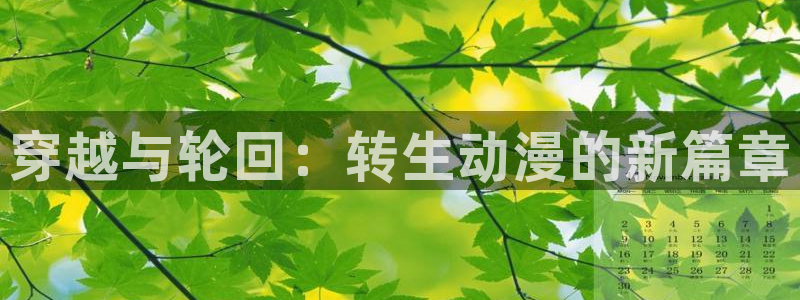 火狼动漫网傲娇公主：穿越与轮回：转生动漫的新篇章