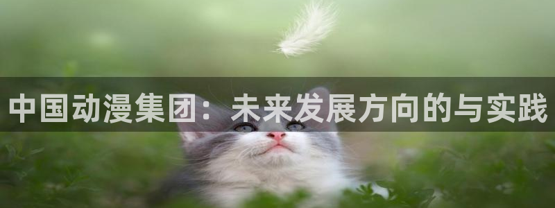 火狼动漫网日本动漫：中国动漫集团：未来发展方向的与实践