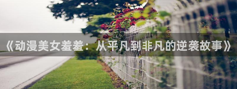 火狼动漫网免费入口在线观看：《动漫美女羞羞：从平凡到非凡的逆袭故事》
