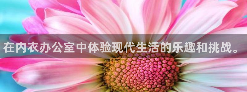 火狼动漫网热门动漫：在内衣办公室中体验现代生活的乐趣和挑战。