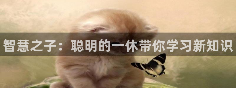 圣华女学院火狼动漫：智慧之子：聪明的一休带你学习新知识